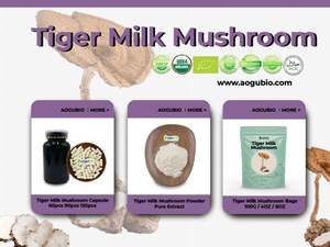 100% polvo de hongo de leche de tigre <span class=keywords><strong>atomy</strong></span> natural - Product Image 5