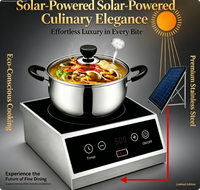 Kompor Induksi Keramik Portabel Tenaga Surya 600W DC 24V 30Ah dengan Baterai Lithium Terintegrasi, Bahan Stainless Steel untuk Rumah Tangga, Luar Ruangan, dan Berkemah