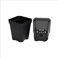 Pots de cactus succulents de pépinière en plastique grand noir clair transparent fente carrée