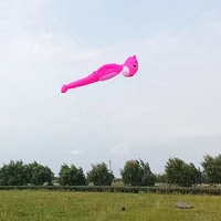 Grand cerf-volant gonflable doux en forme de léopard, cerf-volant rose panthère 3D, grands cerfs-volants pour les amateurs de plein air