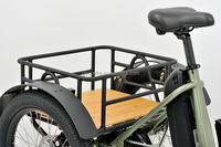 Tricycle électrique pour personnes handicapées de 20 pouces de haute qualité avec moteur arrière de 250 W, batterie intégrée de 48 V 15 Ah et système de frein à disque