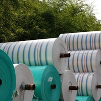Bâche en PE vert argenté laminé pour la protection des petites charges de camion et des marchandises extérieures