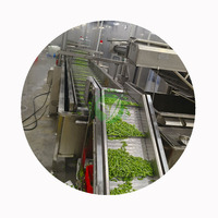 Edamame surgelé en tige XMSD, soja vert de haute qualité, choix populaire pour les restaurants et les importateurs