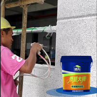 Peinture Effet Pierre Facile à Appliquer au Pinceau, Imperméable, Anti-Moisissure, Texture Rocheuse Réaliste et Haute Dureté pour la Décoration de Façades Extérieures de Villas