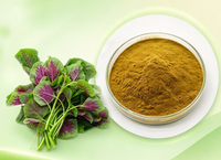 Extrait d'Amarante Amaranthus 10:1 en Poudre, Extrait Végétal Botanique, Complément Alimentaire, Ingrédient Nutraceutique