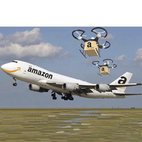 Transport fiable d'agents chinois vers les États-Unis Amazon avec l'expédition de fret DDP à guichet unique