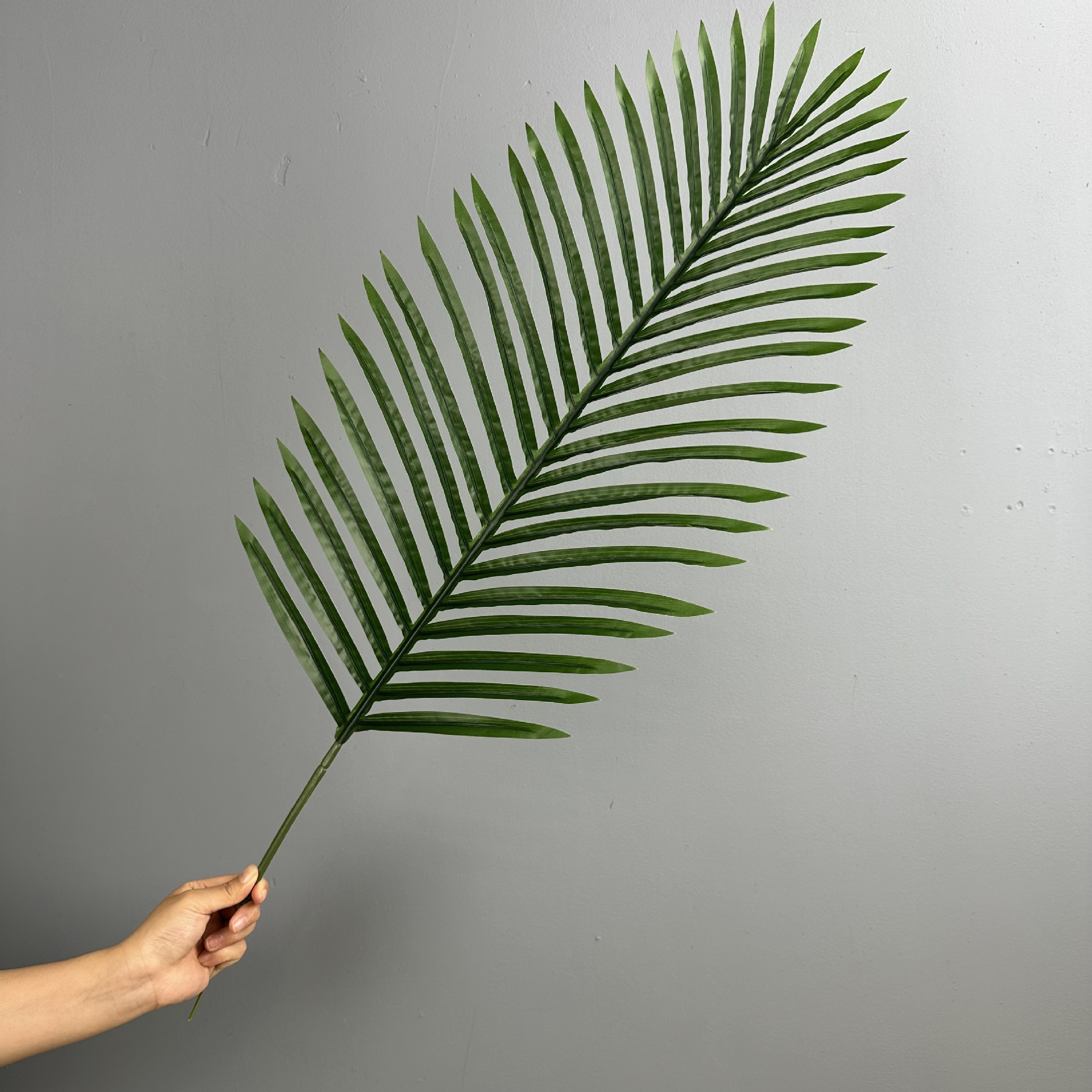 Green-L