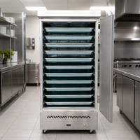 Cuiseur à riz commercial Ruitai à 12 plateaux en acier inoxydable de qualité alimentaire SS201/SUS304, au gaz GPL/gaz naturel, pour fruits de mer/riz/dim sum