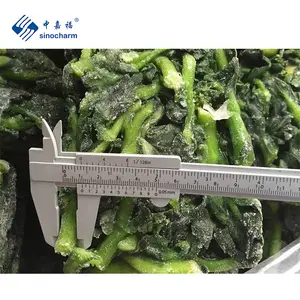Sinocharm HACCP จีนสีเขียว BQF โรงงานผักราคาขายส่ง 1LB BQF ดอกไม้ข่มขืน