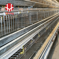 Cage à poules pondeuses de type A à 4 niveaux, alimentation et abreuvement automatiques, système de collecte des œufs, abreuvoir à tétine, galvanisation à chaud