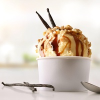 Penjualan Panas Grosir Pabrik Kacang Vanili Kualitas TERBAIK (Proses AD Mentah Kering) 1kg untuk Teh Susu, Es Krim & Kue