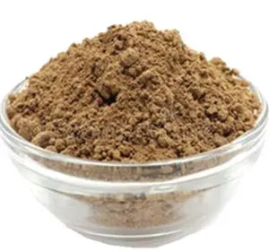 Massenware Seifenbeerextrakt Saponinenpulver Seifenbaum Saponinen-Extrakt Sapindosid natürliches Reinigungsmittel