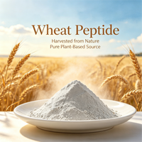 Poudre d'oligopeptides de blé de qualité supérieure, riche en acide glutamique, inférieur à 1000 Da, soluble pour les boissons, la nutrition sportive et les compléments alimentaires
