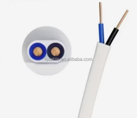 Cables Eléctricos Planos Personalizados, Multifilar, de 2.5mm, Cable Doble de 3 Núcleos, Cables Recubiertos de PVC, Cable Flexible