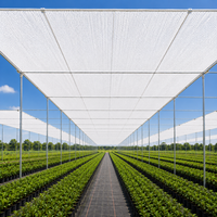 Rouleau de toile d'ombrage en HDPE blanc tricoté warp, résistant aux UV, maille respirante, protection solaire 30%-95% pour serres, agriculture et pépinières