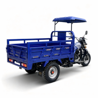 Tricycle à moteur à essence pour charges lourdes 500 kg, moteur chinois 150cc/200cc, type cargo et passagers, à vis.