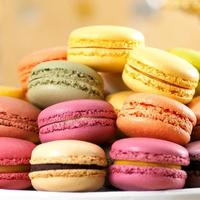 Vente en gros de biscuits macarons fourrés à la crème, en forme de sandwich miniature, halal, avec étiquette privée personnalisée