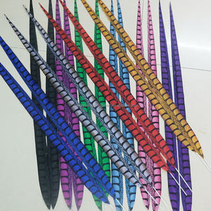 100cm Teint Lady Amherst Faisan Queue <span class=keywords><strong>Plume</strong></span> pour Carnaval Costume Samba Danse Performance Festival Déco - Product Image 6