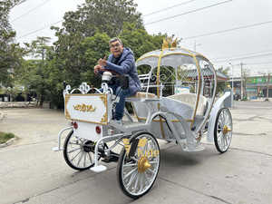 Charrette de cheval ornée pour fêtes à thème, calèche électrique sans chevaux pour bals caritaires - Product Image 4