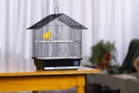 Cage à oiseaux en forme de maison, design toit en pignon, plateau de nettoyage en plastique extractible, perchoirs, pour perruches et pinsons, boîte d'intérieur pour animaux de compagnie