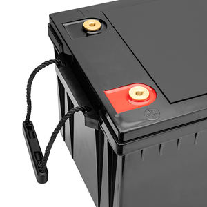 Paket Baterai Lithium Leadyo Lifepo4 Smart BMS 24V 100ah 150ah 200ah Baterai Lifepo4 USA India Kanada Inggris - Product Image 2