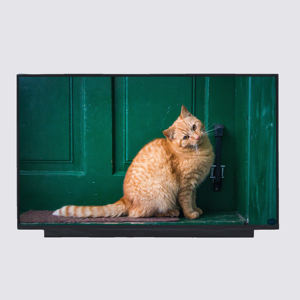 NV156FHM-N4X 15.6 pollici 1920*1080 FHD 250nit 60Hz 30pin EDP 16:9 PCBA Laptop piatto schermo LCD pannello di visualizzazione sostituzione dello schermo - Product Image 1