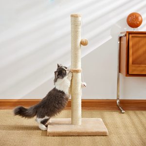 Legno grande gatto <span class=keywords><strong>tiragraffi</strong></span> appesa palla resistente gatto <span class=keywords><strong>albero</strong></span> <span class=keywords><strong>per</strong></span> uso interno in legno e corda di Sisal incluso - Product Image 5
