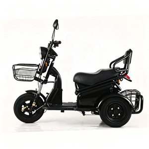 Tricycle électrique 2 places, type carrosserie ouverte, 1000W, tricycle pour adultes, capacité de charge 200-300kg, couleur rouge - Product Image 3