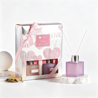 Offre Spéciale : Diffuseur de Luxe à Bâtonnets, Longue Durée, DIY, en Verre, pour Huiles Essentielles, Parfum d'Ambiance Écologique, Sans Alcool, Coffret Cadeau Maison