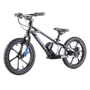 Sepeda keseimbangan listrik anak-anak, Ebike 36V 350W Hub Motor anak 36V 5,0 AH baterai Lithium elektrik tanpa pedal dorong