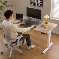 Bureau électrique silencieux AOR au design moderne pour l'apprentissage à domicile, le bureau, le travail sur ordinateur, personnalisable dans toutes les couleurs, vente en gros d'usine