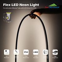 N1220D Plafonnier extérieur étanche RGB LED Neon Strip Flex Silicone avec indice IP68