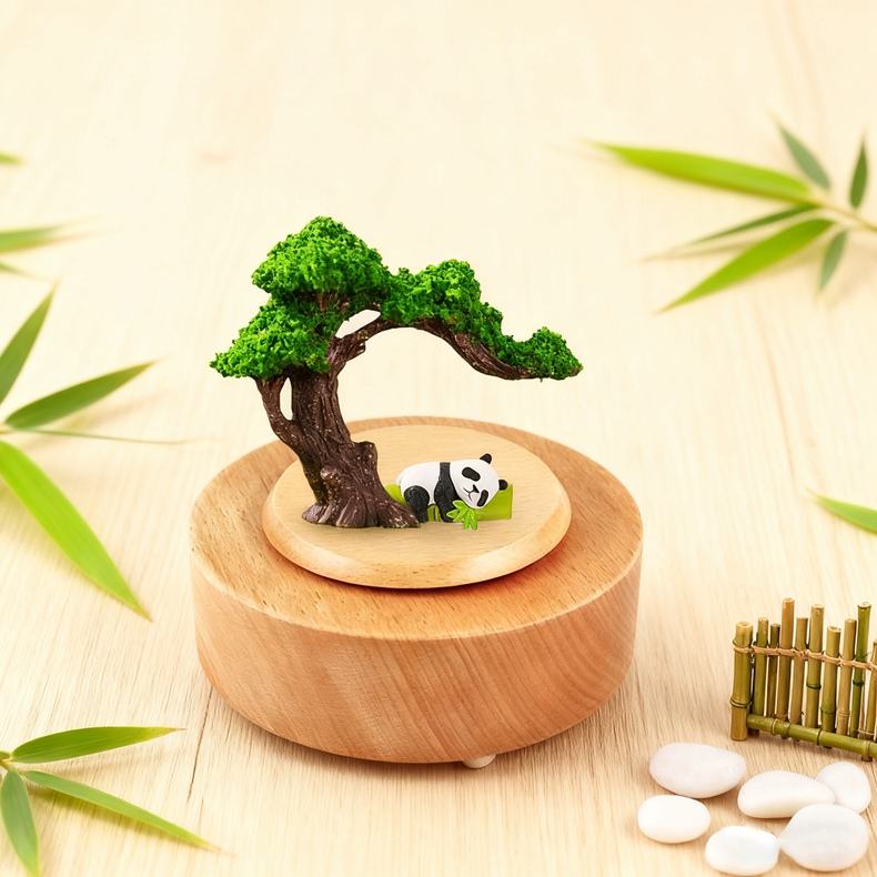 สีไม้-กล่องดนตรีแพนด้า-5