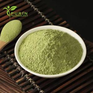 Hoogwaardig Natuurlijk Lotusblad <span class=keywords><strong>Extract</strong></span> Poeder 10:1 Gedroogd Lotusblad Poeder En Lotusblad Alkali Poeder - Product Image 3