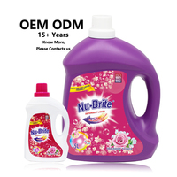 Détergent de lessive liquide parfumé écologique ODM OEM détergent liquide de lavage jetable