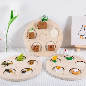 Wachstums zyklus des Tierlebens Montessori Kinder pädagogische Wissenschaft Erkenntnis Holz spielzeug Simulation Insekten Tiermodell