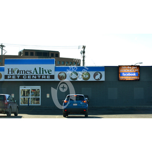 P4/P8/P10 hostipal/trường/Kinh doanh/nhà thờ xây dựng ngoài trời <span class=keywords><strong>LED</strong></span> thương mại tin nhắn dấu hiệu <span class=keywords><strong>LED</strong></span> quảng cáo <span class=keywords><strong>LED</strong></span> hiển thị - Product Image 5