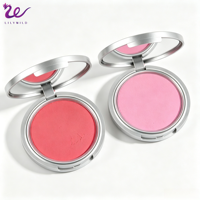 Palette de fards à joues professionnels en poudre, résistants à l'eau, haute pigmentation, fini naturel, véganes, en étui argenté, marque privée