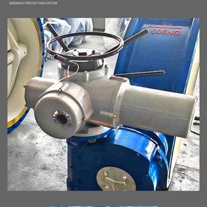 Válvula de Mariposa Rotork DN900 WCB con Revestimiento de PVC Rígido, Unidireccional, de Paso Directo, para Vapor, Agua y Aire - Product Image 3