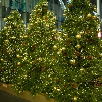 Guirlandes lumineuses LED à fil de cuivre télécommandées, à brancher, blanc chaud, fil vert/argenté, lumières féériques pour arbre de Noël, décoration de chambre