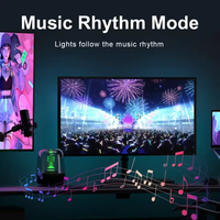 Bande LED adressable RGB IC WS2812B ROHS avec télécommande USB pour synchronisation avec l'écran d'ordinateur, rétroéclairage, jeux, décoration de vacances