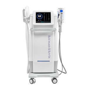 Système vertical 2 en 1 avec 4 poignées, rouleau à billes interne pour massage, machine <span class=keywords><strong>HIEM</strong></span> - Product Image 1