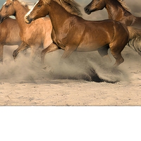 Peintures murales personnalisées d'animaux, 8 chevaux au galop, encre écologique, cadre en alliage d'aluminium de luxe, décoration de bureau et de maison