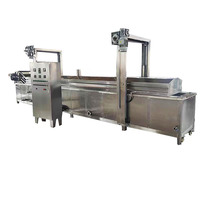 Équipement de friteuse industrielle à snack automatique et continu à gaz pour la friture de fruits légumes noix-état neuf