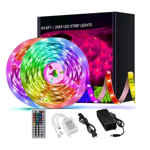 Ngoại Thất Không Thấm Nước Nhỏ 10 Mét 5M 3528 2835 RGB Thay Đổi Màu Sắc Ánh Sáng Điện 50ft Phòng Strip Light LED Light Strip RGB