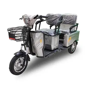 Good 90Km Trike Electric Tricycles Two Pcs 12V Rom China Factory