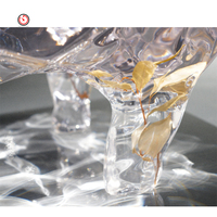 TT personnalisé haut de gamme italien minimaliste moderne transparent platine cristal table basse carrée