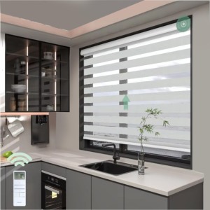 <span class=keywords><strong>2025</strong></span> mới tùy chỉnh cơ giới điều khiển thông minh hai lớp ngày đêm ngựa vằn Shades cửa sổ Shades cho trang trí nội thất - Product Image 1