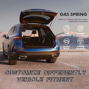 Amortiguadores de Gas Hidráulicos para Cubiertas de Acceso a Maleteros Traseros de Coches Personalizados - Product Image 6
