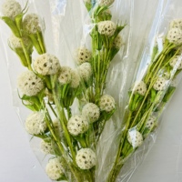 Vente en gros de fleurs séchées naturelles de luxe, mini bouquet longue durée pour la décoration de Noël à la maison - Tailles personnalisables